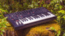 Moog, Xfer Records, Expressive E, Ableton: Sound-Boutique