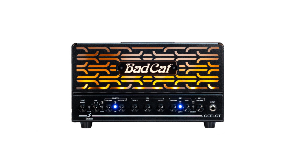 Mit dem Bad Cat Ocelot Lunchbox Head bringt der amerikanische Hersteller ein leichtes Topteil mit starken Features und gewohnt hoher Qualität auf den Markt!