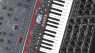 Poly Synth Deals der Woche