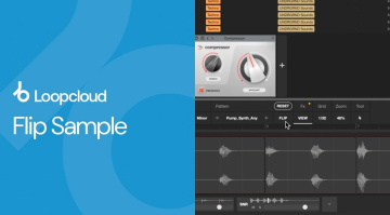 Loopcloud Flip Sample bringt frische Variationen in deine Tracks