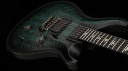 PRS 40th Anniversary Custom 24: Jetzt mit Mangodecke!