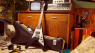 Die 5 besten V-Style-Gitarren für jedes Budget: Mehr als Flying V!