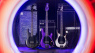 Freunde der beliebten Music Man Dark Ray-Serie dürfen sich über neue Farben und einen besonderen BFR-Limited Edition Bass freuen!