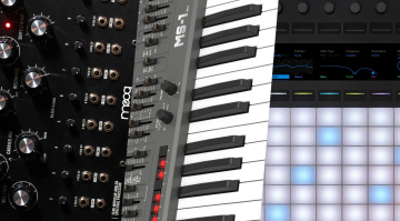 Mein Best of Thomann Cyberweek: Moog, Behringer, Ableton - 3 coole Deals der Woche!