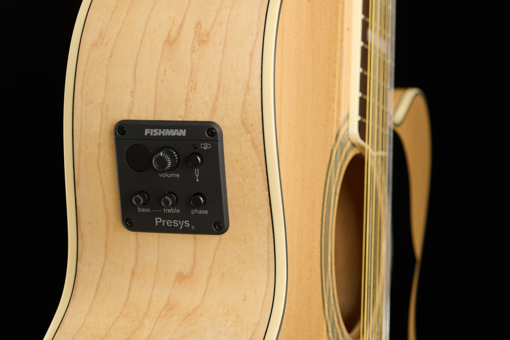 King-12 CE NT mit Fishman Presys II