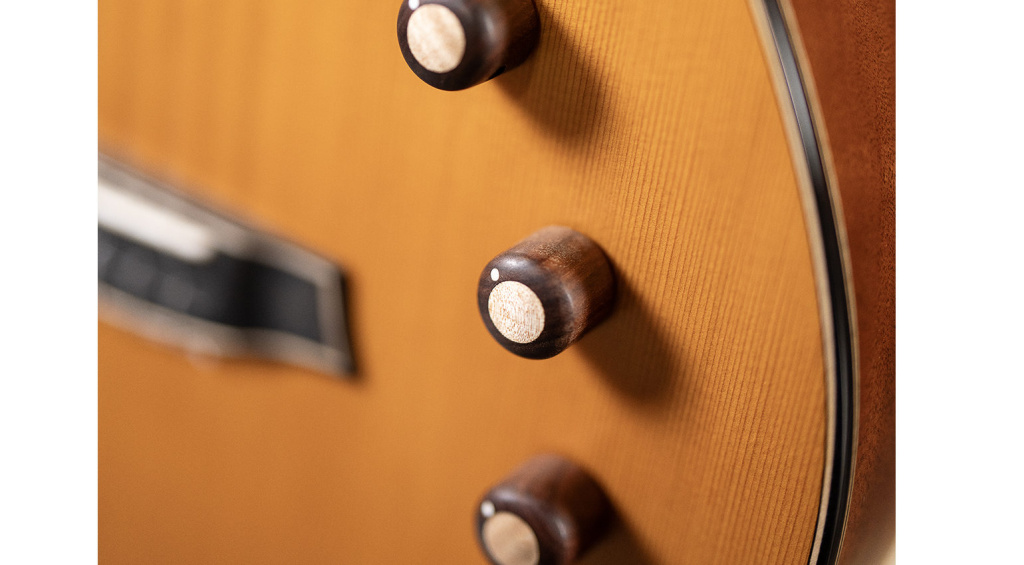 Die Regler an der Stage Artist Series