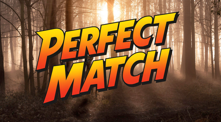 Ambient Gear 2026: 3x Hardware für ein Perfect Match