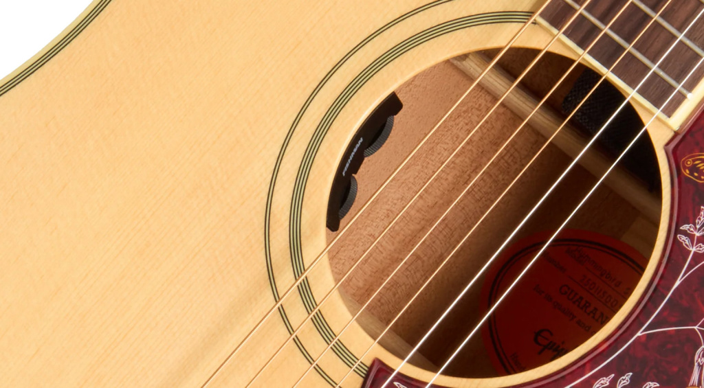 Fishman-System mit S-Core-Undersaddle-Pickup und Presys-VT-Preamp