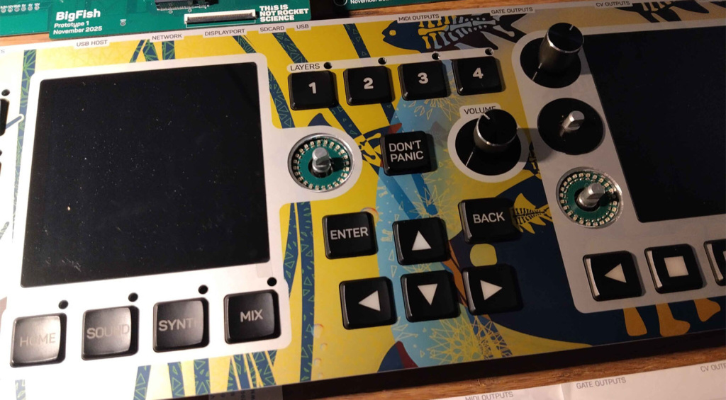 This Is Not Rocket Science BigFish