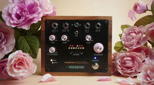 Vongon Rosetones