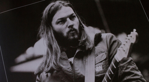 Das Gear von David Gilmour