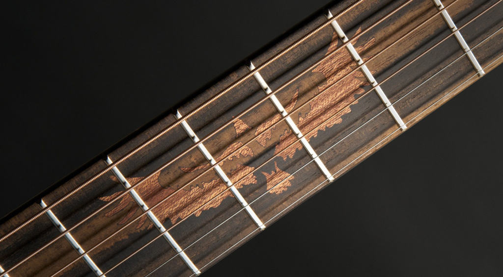 Martin Guitar Shawn Mendes 10