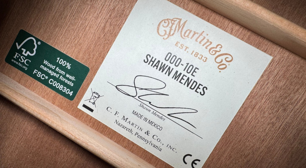 Martin Guitar Shawn Mendes 10