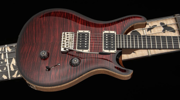 PRS Custom 24 Birds of a Feather: Edle Rarität mit besonderen Inlays
