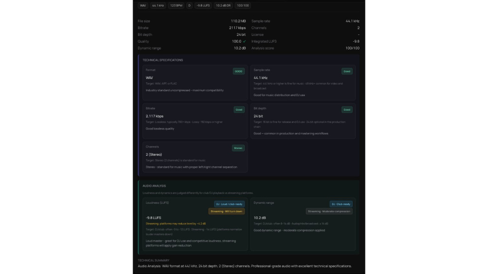 suru Audio Analyse