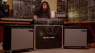 Moog Amps